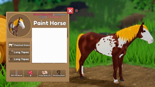 Iuh paint horse - -,