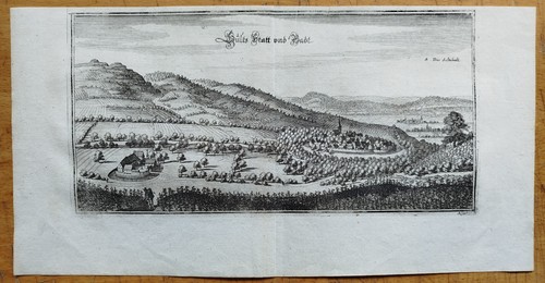 Soultz les bains merian - soultz-les-bains,