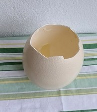 Straussenei  -Schlupfei natur