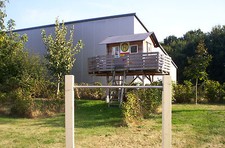 Turnstange, Reckstange