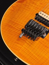 PEAVEY Wolfgang USA EVH