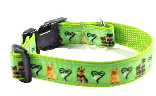 Hundehalsband yorkshire - hundehalsband,
