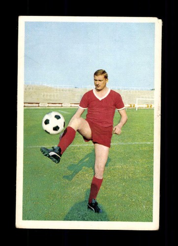 Willi kostrewa fc - willi,