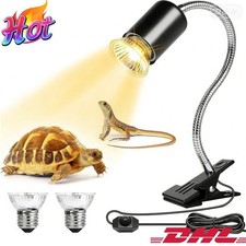 Schildkröten Wärmelampe