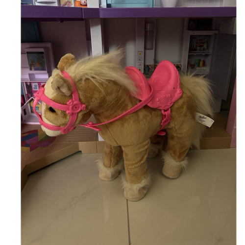 Baby born pferd - baby,