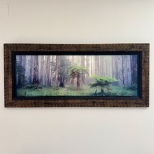 Peter Lik – Misty Forest – Limited Edition 54/100 – signiert & gerahmt