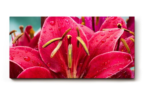 Sinus art wandbild - art,