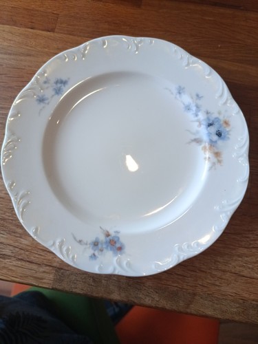 Rosenthal classic rose - rosenthal,