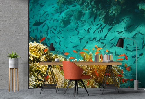 See fisch q2376 - fisch, tapete