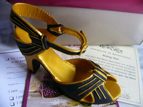 Just the right shoe 25043