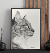 Katze Bleistiftzeichnung