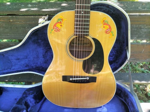 Fender westerngitarre aus - 15,