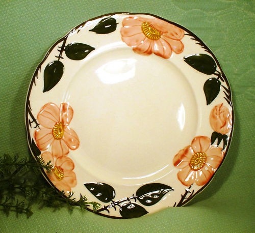 Villeroy boch wildrose 1 - &,