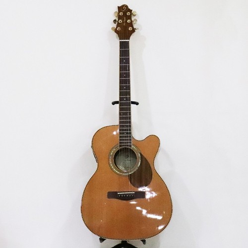 Elektrische akustikgitarre - elektrische,
