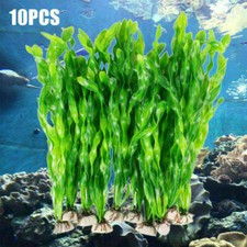 10X Aquariumpflanzen