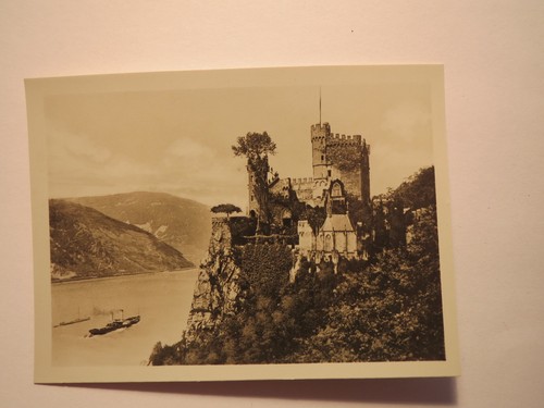 Burg rheinstein foto - burg, /