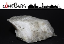 Gipskristall aus Lüneburg /