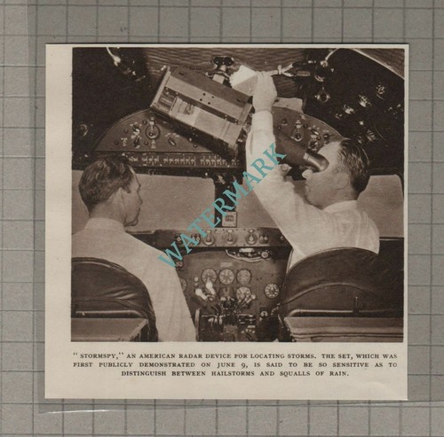 C3239 cutting stormspy - c3239),