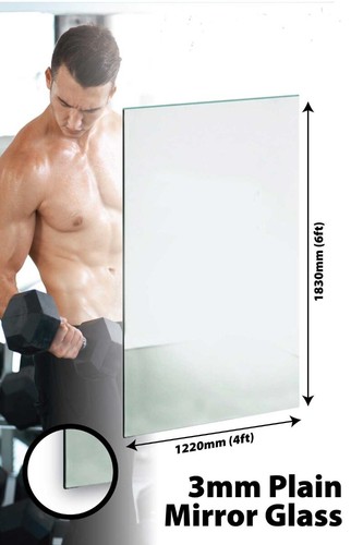 Gym spiegel glas gewicht - gym,