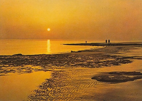 Alte egmond aan zee - ak,
