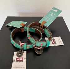 DWAM Dog with a mission