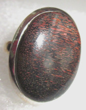 RARITÄT echter versteinerter