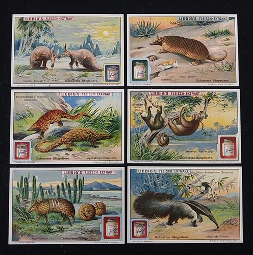 Bilder komplette serie - komplette,