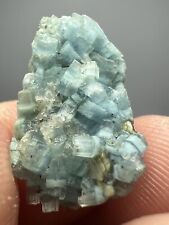 Vollständige Ansammlung von