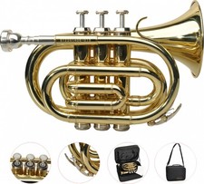 B-Ware Steinbach Bb- Taschentrompete mit Edelstahlventilen