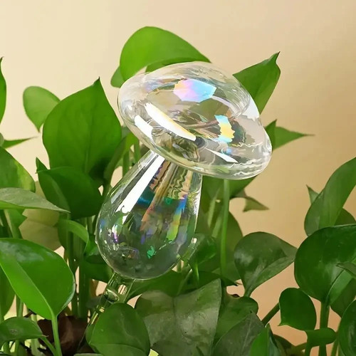 Pflanzenbewässerungsglas