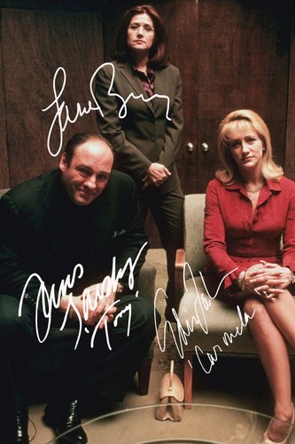 Gandolfini bracco falco - bracco, &