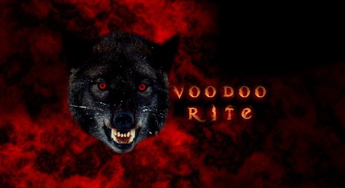 Echte voodoo knochen und - **echte,