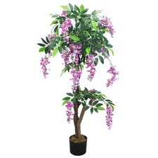 Blauregen wisteria glyzinie - blauregen,