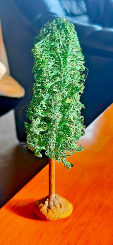 Uralt luffa baum pappel - luffa,