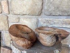 Kokosnuss Schale halb