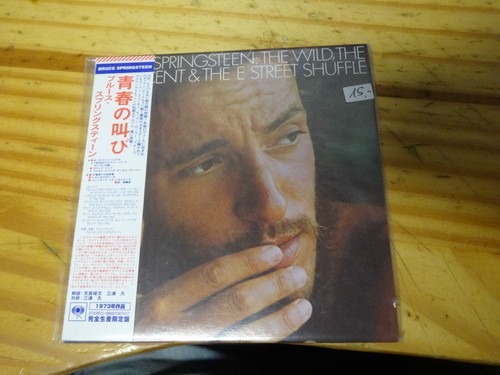 Bruce sprinsteen the - bruce, wild