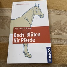 Bach-Blüten für Pferde