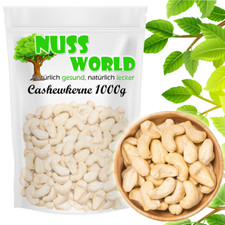 Cashewkerne ganz frisch