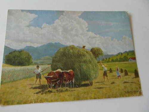 Künst heuernte m - heuernte,