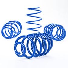 ap Tieferlegungsfedern für