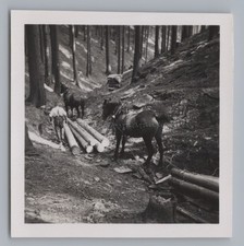 Schwarzburg Schwarza Valley