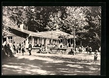 Ansichtskarte Frauenwald /Thür., Cafe Lenkgrund im Licht- und Schattenspiel 