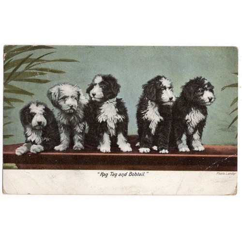 Rag tag bobtail - tag,
