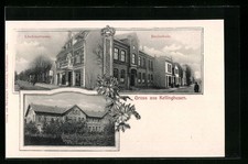 Kellinghusen, Ansichtskarte, Lindenstrasse und Realschule 1907 