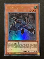 Traumzikade | BLCR-DE028 |