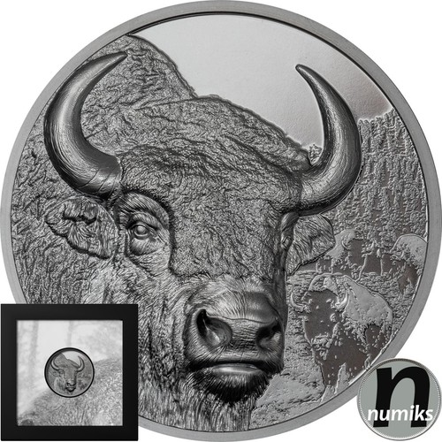 Bison mongolei 2025 - -, 2