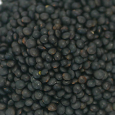 Bioland Beluga Linsen