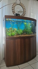 aquarium Juwel 260 l. komplett Set mit unterschrank