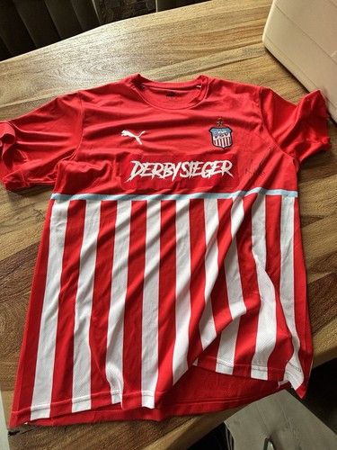 Puma fsv zwickau - puma,