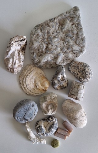 Wunderschönes aus der - , natur